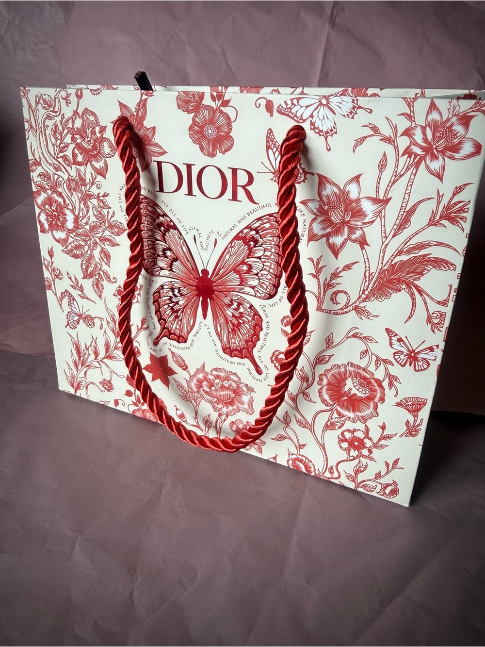 Dior LIMITED EDITION Gift Bag: Butterfly and floral "Toile de Jouy" Pattern